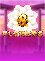 8 Flowers-bg