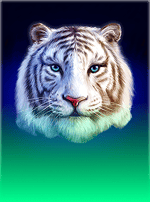 Water Tiger-bg