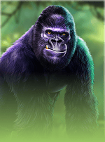 Gorilla Mayhem-bg