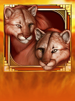Cats-bg