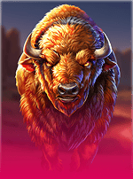 5 Wild Buffalo-bg