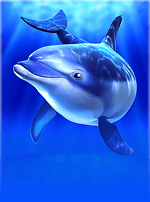 Cash Connection - Dolphin's Pearl Linked-bg
