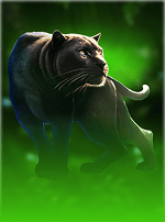 Mighty Wild: Panther Grand Diamond Edition-bg