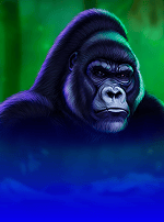 Ape Of Luck Gods & Kings Link-bg