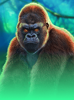 Epic Ape-bg
