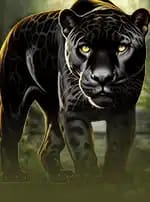 Jaguar Gems Pot-bg
