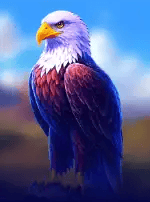 EAGLE: CASH COLLECT & LINK™-bg