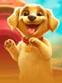 Lucky Dog