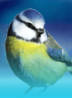 Stunning Snow Remastered