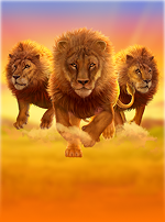 Lucky Lions: Wild Life