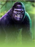 Gorilla Mayhem