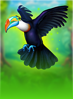 Toucan Wild