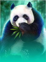 Panda Blitz