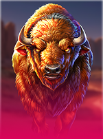 5 Wild Buffalo