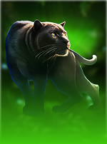 Mighty Wild: Panther Grand Diamond Edition