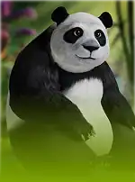 Panda Money